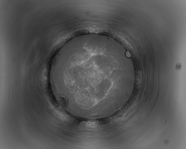 X0000100470639200806201607