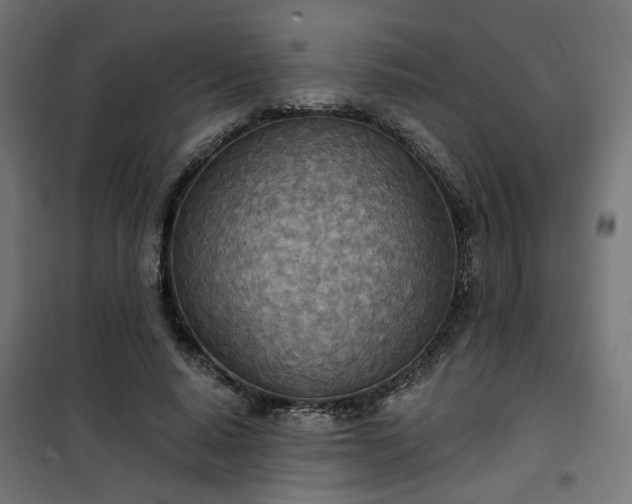 X0000100470640200806201607