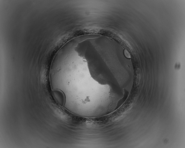 X0000100470641200806201607