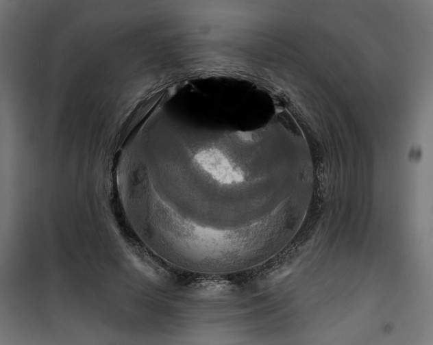 X0000100470642200806201607