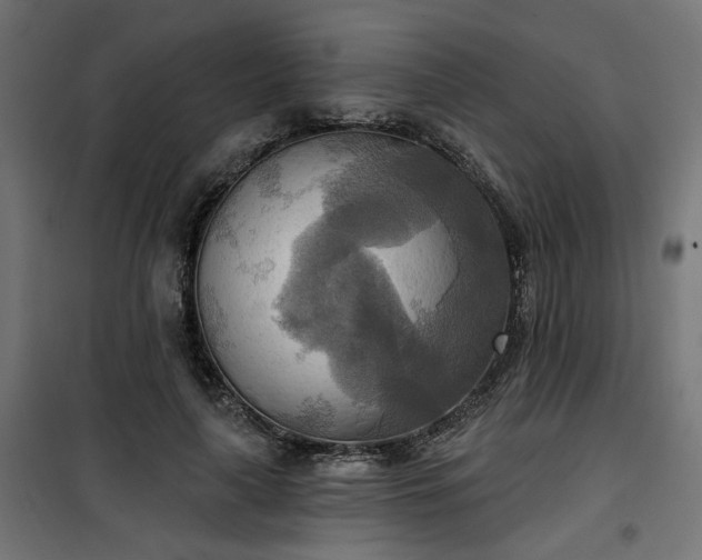 X0000100470643200806201607