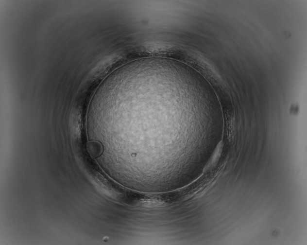 X0000100470644200806201607