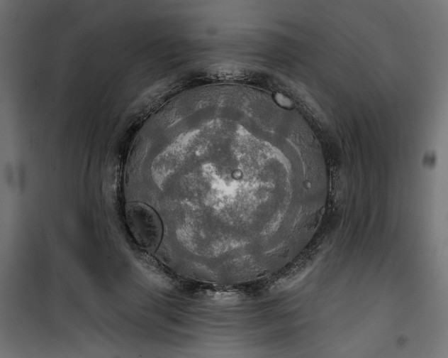 X0000100470645200806201607