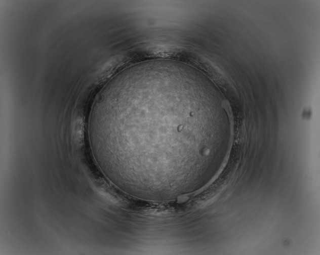 X0000100470646200806201607