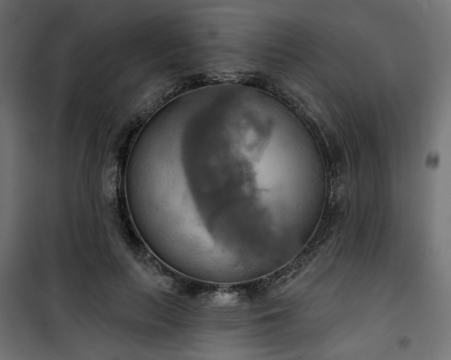 X0000100470647200806201607