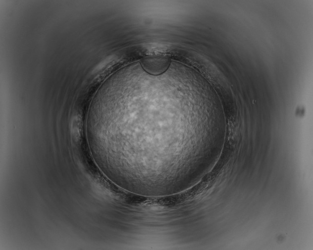 X0000100470648200806201607