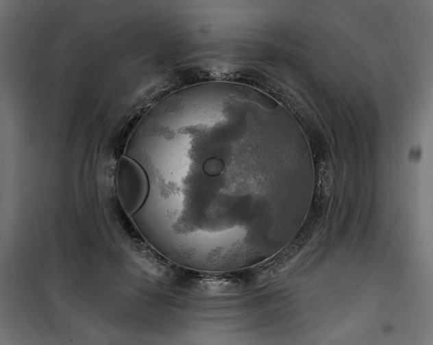 X0000100470650200806201607