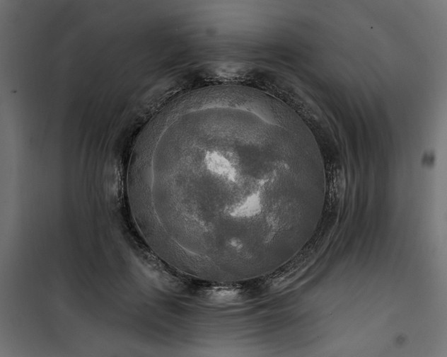 X0000100470651200806201607