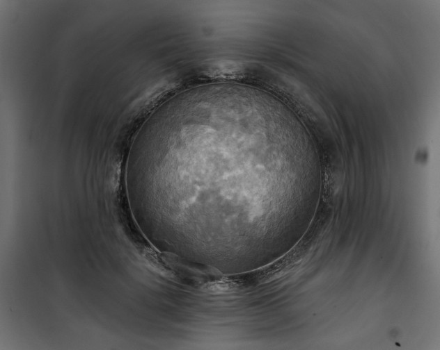 X0000100470652200806201607