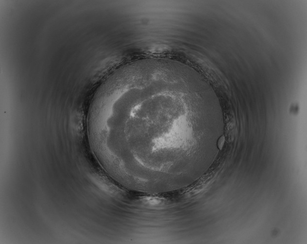 X0000100470654200806201607