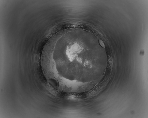 X0000100470657200806201607