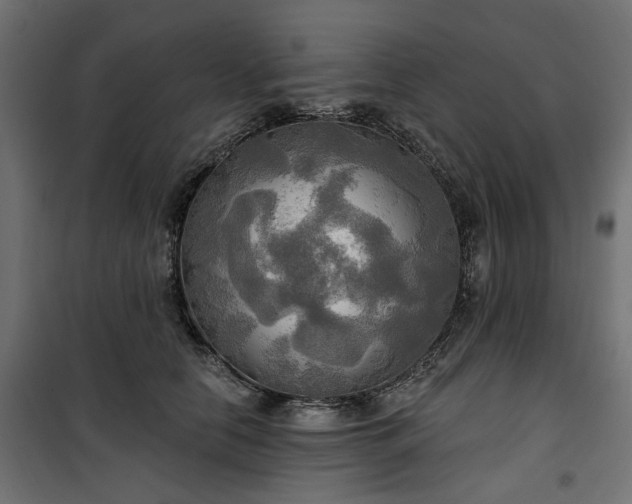 X0000100470658200806201608