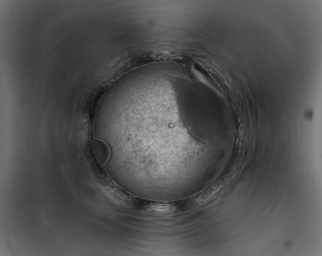 X0000100470659200806201608