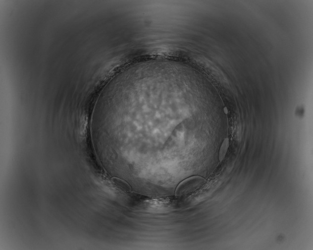 X0000100470660200806201608