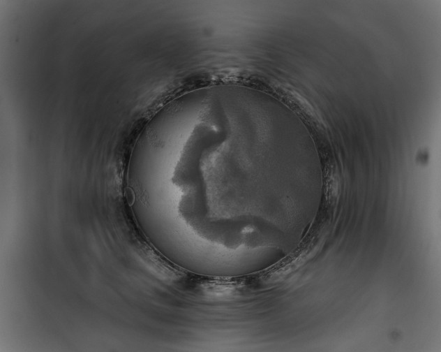 X0000100470661200806201608