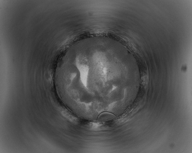 X0000100470662200806201608