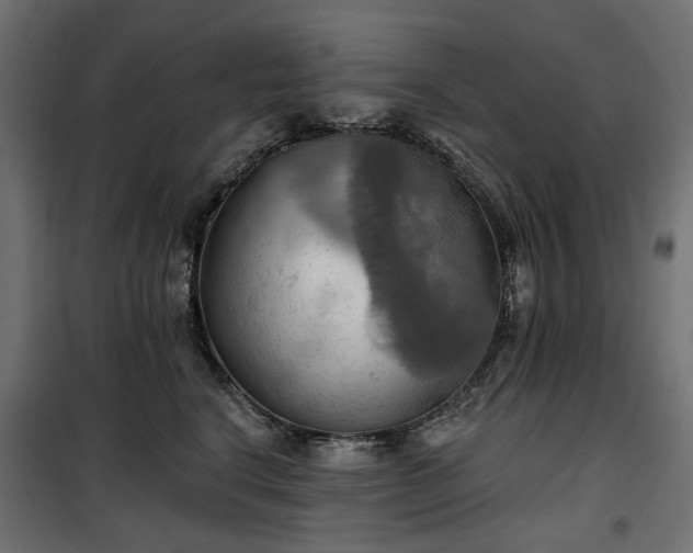 X0000100470664200806201608