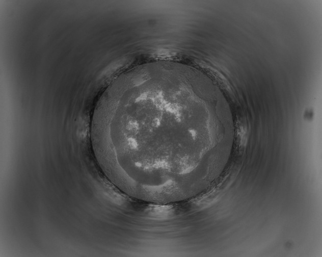 X0000100470665200806201608