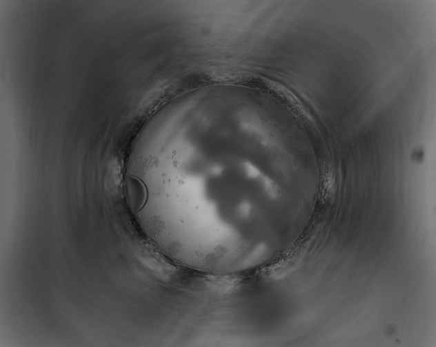 X0000100470667200806201608