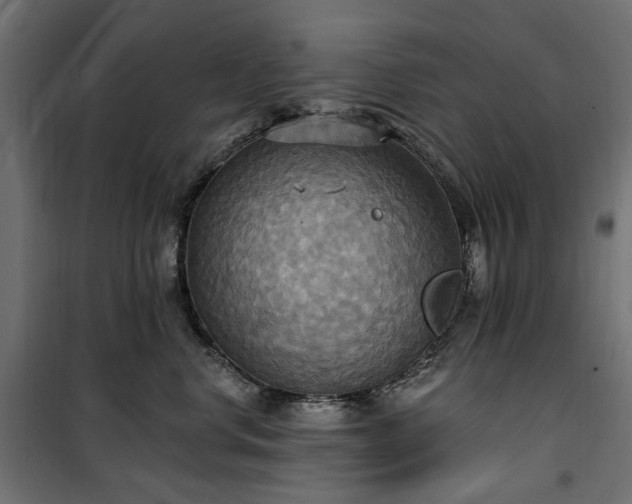 X0000100470668200806201608