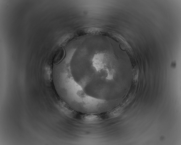 X0000100470669200806201608