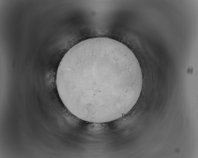 X0000100470672200806201608