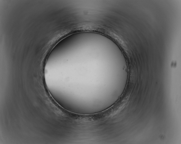 X0000100470673200806201607