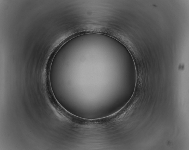 X0000100470674200806201607