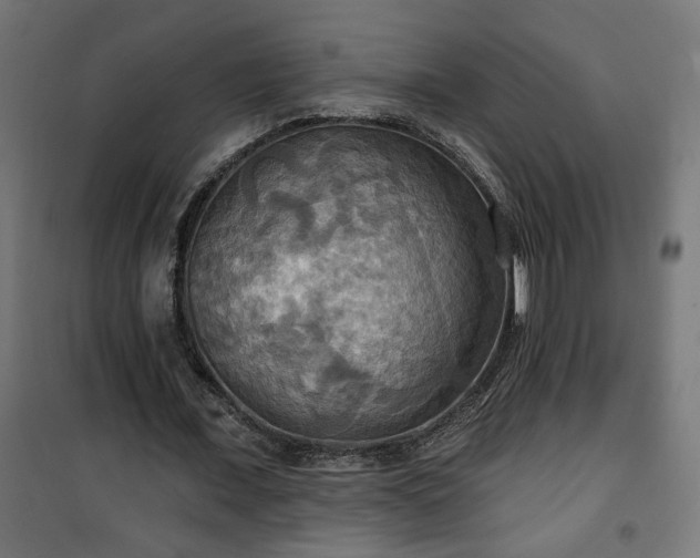 X0000100470675200806201607