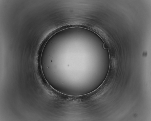 X0000100470676200806201607