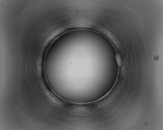 X0000100470677200806201607