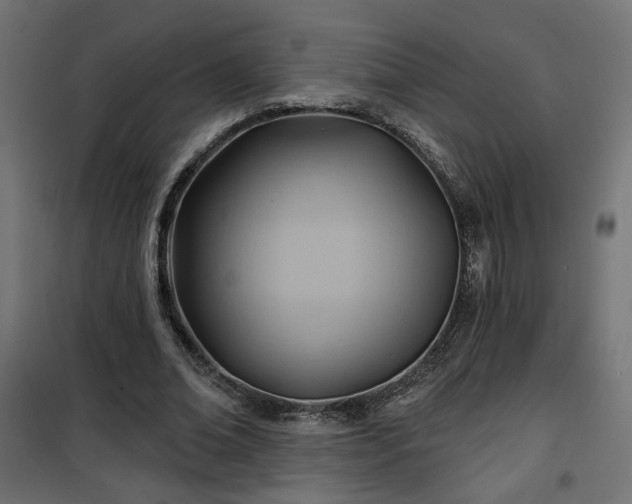 X0000100470678200806201607