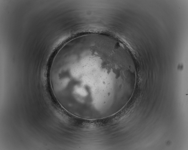 X0000100470679200806201607