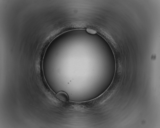 X0000100470681200806201607