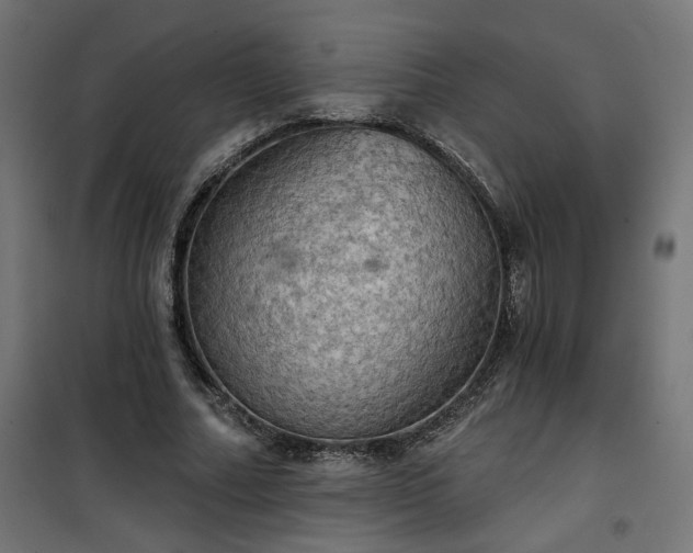 X0000100470682200806201607