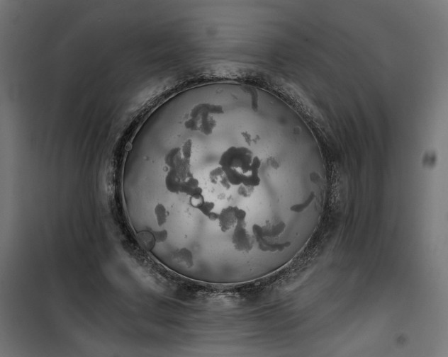 X0000100470683200806201607