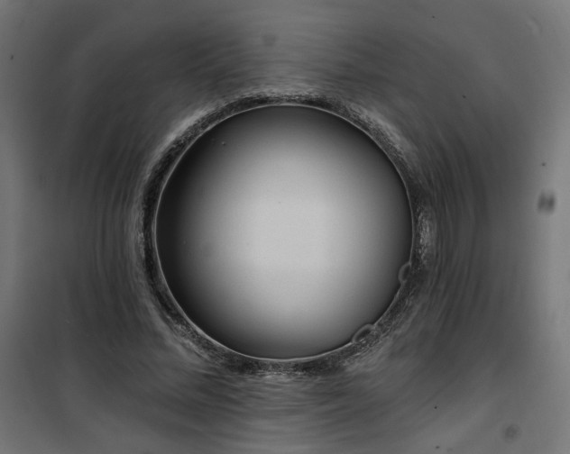 X0000100470684200806201607