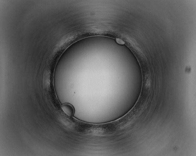 X0000100470685200806201607