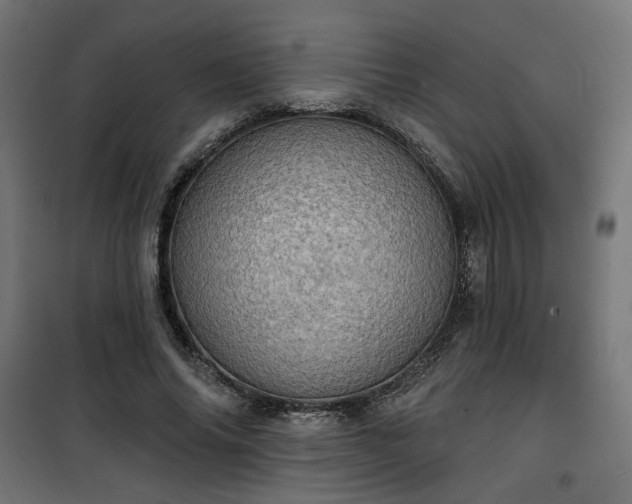 X0000100470686200806201607