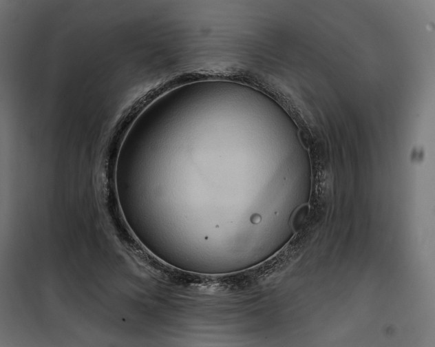 X0000100470688200806201607