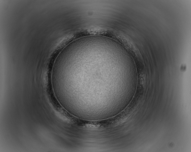 X0000100470690200806201607