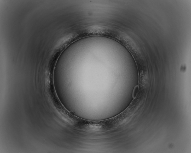 X0000100470692200806201607