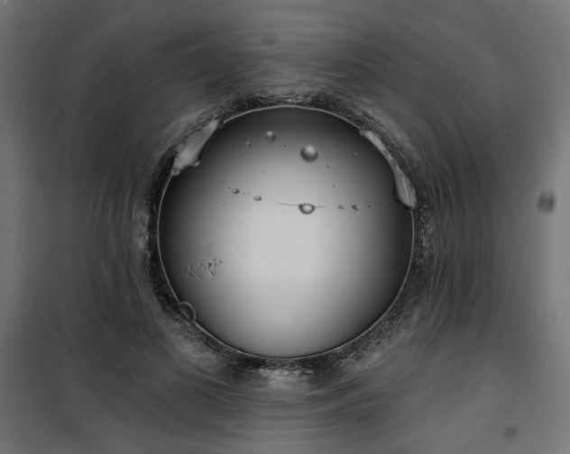 X0000100470693200806201607