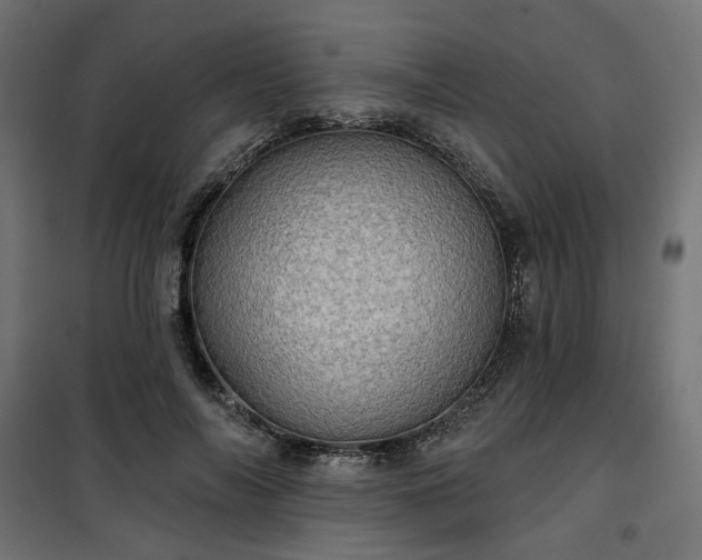 X0000100470694200806201607