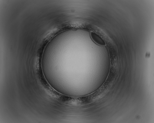 X0000100470696200806201607