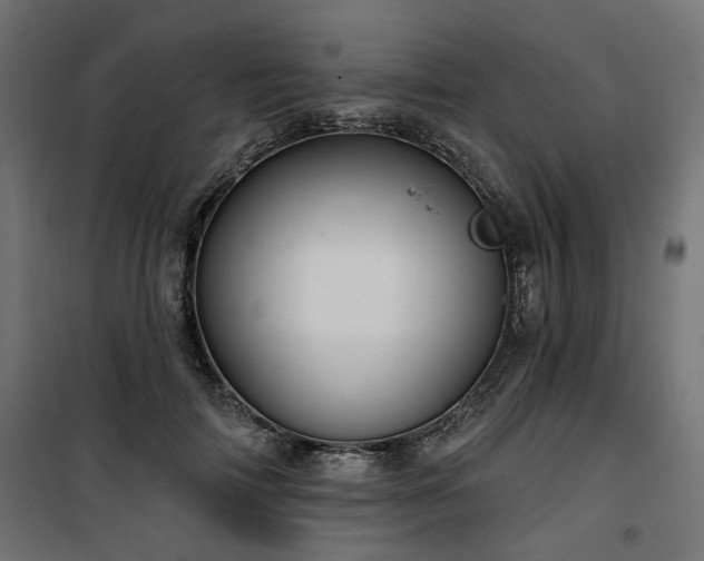 X0000100470698200806201607