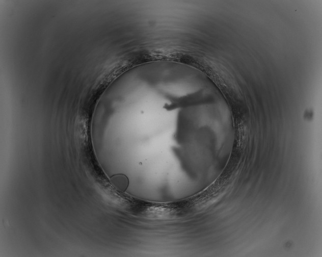 X0000100470699200806201607