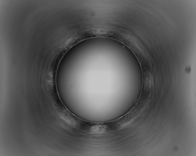 X0000100470700200806201607