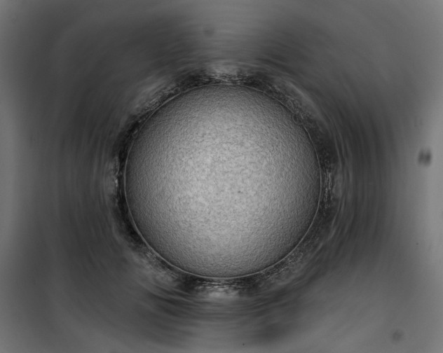 X0000100470702200806201607