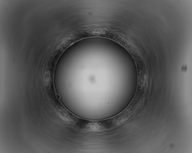 X0000100470704200806201607